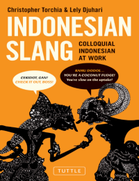 Image of E-Book Indonesian Slang Colloquial Indonesian at Work