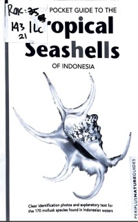 TROPICAL SEASHELLS